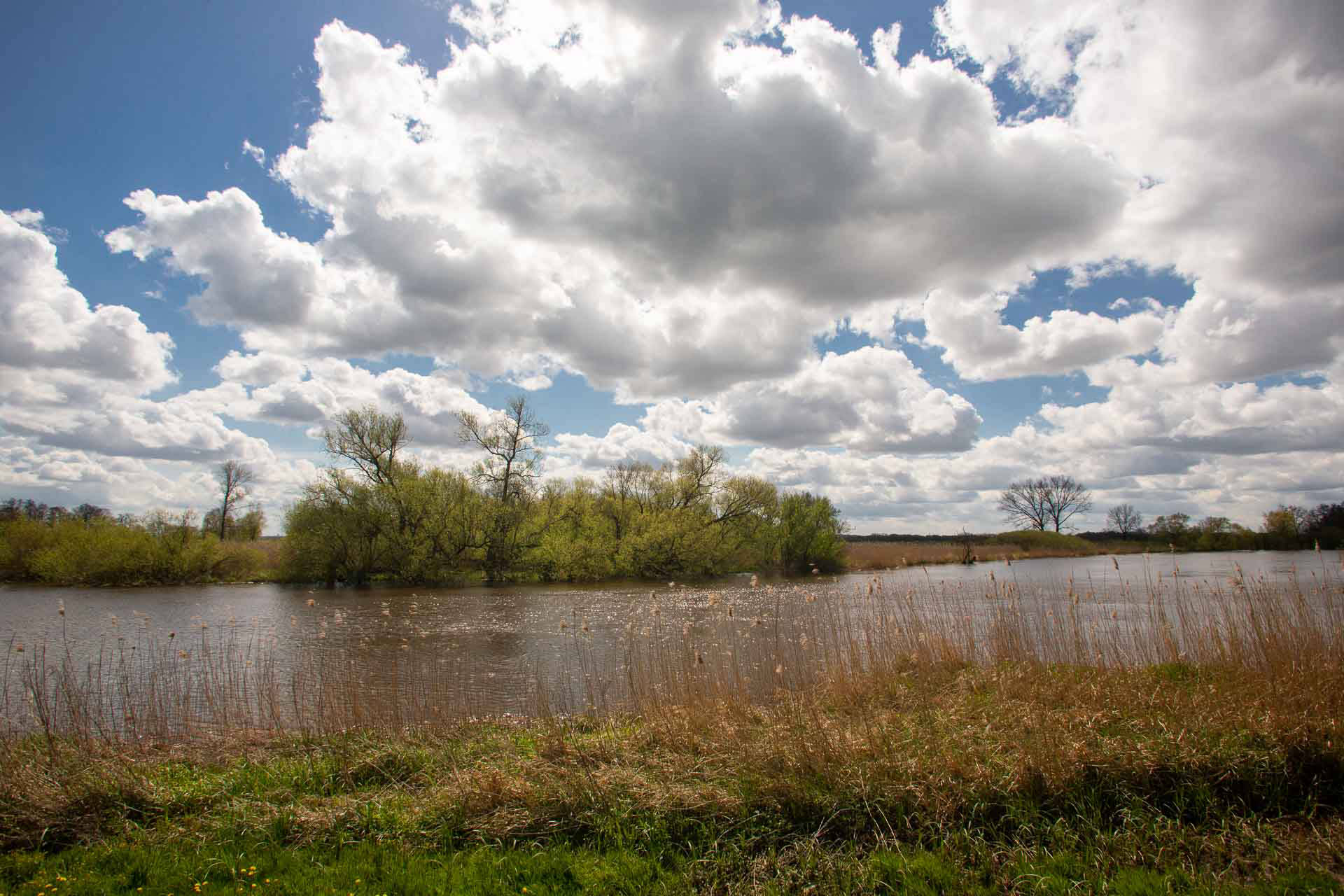 Blockland - Wümme - Nordseite