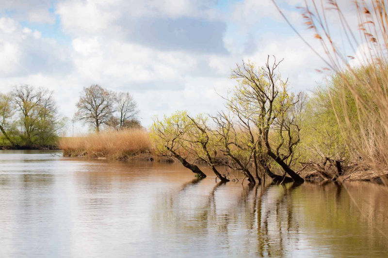 Blockland - Wümme - Nordseite